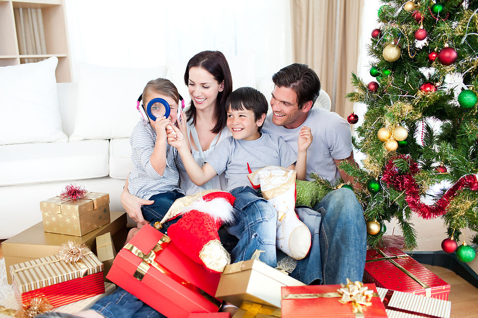 Якщо ви вибираєте новорічний подарунок для своєї сім'ї, то в зимову пору підходящим варіантом стане   теплий плед