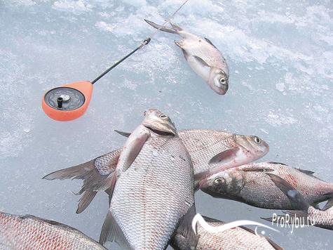 Для риболовлі на більшу рибу, буде розумно поставити волосінь 0,14-0,16 мм