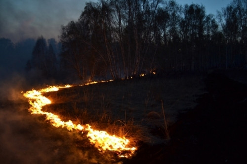 У МНС нагадали, що з метою недопущення зростання пожеж на всій території Челябінської області діє особливий протипожежний режим